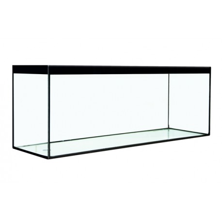 Acuario