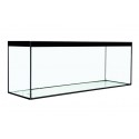 Acuario Cristal