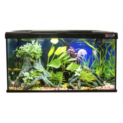 Kit Aitana Fish