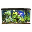 Kit Aitana Fish