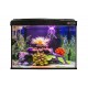 Kit Aitana Fish