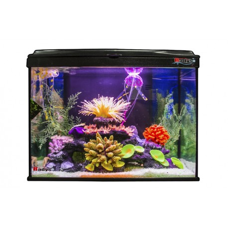 Kit Aitana Fish