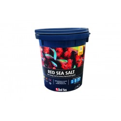 Sal Marina Red Sea