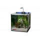 Acuario