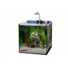 Acuario