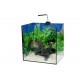 Acuario