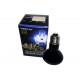 Halogen Moonlight