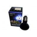 Halogen Moonlight
