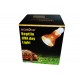 Reptile UVA Day Light