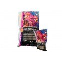 Base Rosa Live Reef