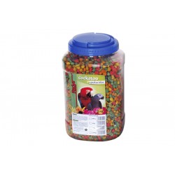 Cockatto Psitacidas