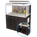 Kit Marino Tropical con Luz 10 mm