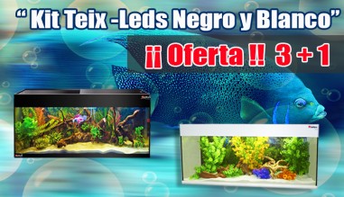 Oferta 3+1 Kit Teix Leds
